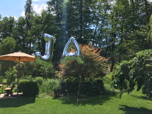 Zahrada ubytování Hotel Kainsbacher Mühle