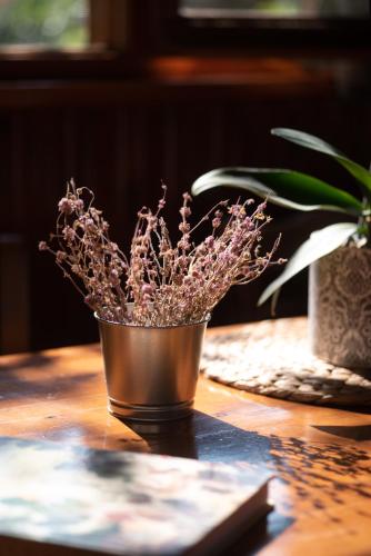 a small potted plant sitting on a table at Orias Guesthouse & Farm in Kalavrita