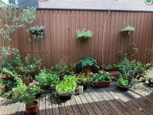 a wooden fence with potted plants on a deck at Kasumi-an in Kumamoto