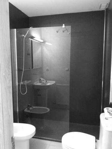 a bathroom with a shower and a toilet and a sink at Hotel Avenida del Sotillo in La Lastrilla