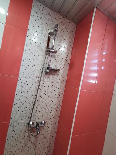 une douche avec un mur rouge et blanc dans l'établissement Mountain view apartment, à Vratsa