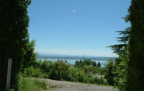 a road with a view of a body of water at Haus am Trielberg in Meersburg