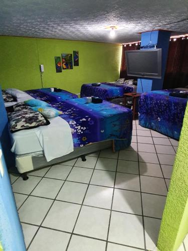 a room with two bunk beds and a tv at hotel kasa kamelot 2 in Quetzaltenango