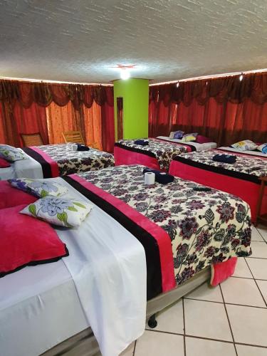 Gallery image of hotel kasa kamelot 2 in Quetzaltenango