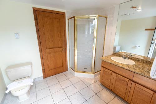 a bathroom with a toilet and a shower and a sink at The Ironwood on Blueberry Hill in Whistler
