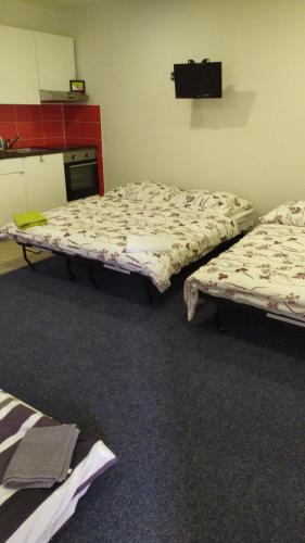 two beds are sitting in a room at Ubytování Němčičky in Němčičky