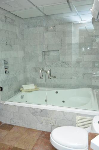 a bathroom with a tub and a toilet and a shower at Royal Pedregal in Mexico City