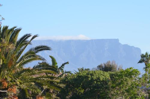 una vista del Gran Cañón desde los árboles en Whale Tale, en Ciudad del Cabo