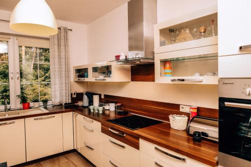 Dapur atau dapur kecil di Pluski Dom "Ryś" nad J. Pluszne