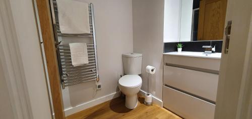 een kleine badkamer met een toilet en een wastafel bij Northampton 2 Bedroom Town Centre Apartment close to University, Hospitals, Brackmills in Northampton
