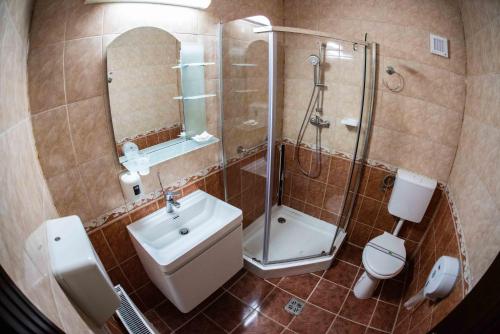 a bathroom with a sink and a shower and a toilet at Hotel Trei Brazi in Băile Olăneşti