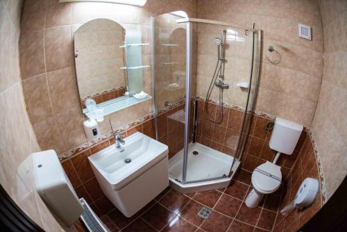 Ванна кімната в Hotel Trei Brazi