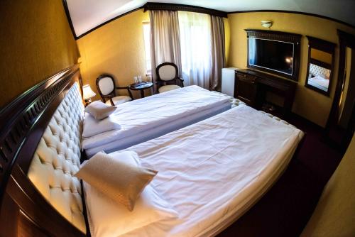 a bedroom with a large bed and a television at Hotel Trei Brazi in Băile Olăneşti