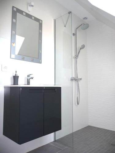 une salle de bain avec une douche avec un lavabo et un miroir dans l'établissement Charmant sudio aux portes de Colmar, à Durrenentzen