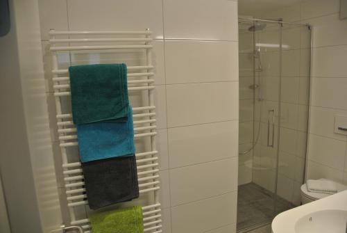 a bathroom with a shower and a green towel at Gasthof Zum Stollhofer in Inzing