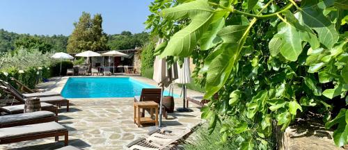 a swimming pool with lounge chairs next to a tree at Relais Il Pozzeto in Anghiari
