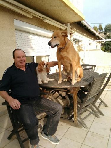 un homme assis à une table avec deux chiens dans l'établissement la meridienne, à Sète