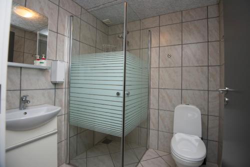 a bathroom with a shower and a toilet and a sink at Ebeltoft Feriecenter in Ebeltoft
