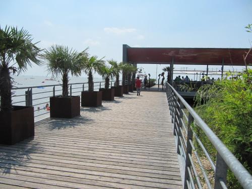 a wooden boardwalk next to the beach with palm trees at Pannonia Tower in Parndorf