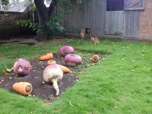 a bunch of vegetables laying on the grass in a yard at Flamingo Land - Cedar Wood CW09 in Kirby Misperton