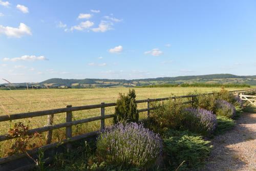a fence with purple flowers next to a field at Steppes Farm Cottages in Monmouth