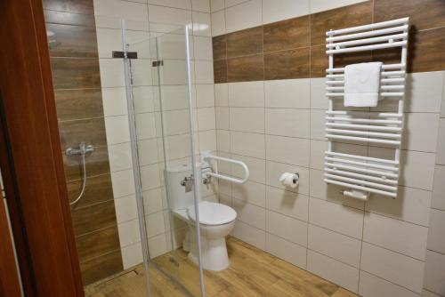 a bathroom with a toilet and a glass shower stall at Centrum Restauracyjno-Hotelowe Florres in Pawłowiczki