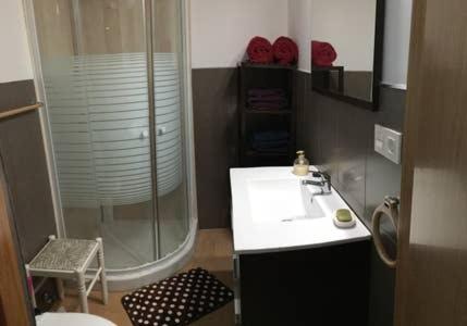 a bathroom with a shower and a sink and a toilet at Casita de la Plaza . VUT-47-172 in Sardón de Duero