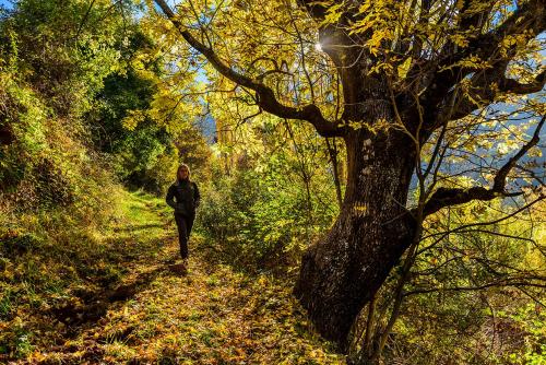 Fotografie z fotogalerie ubytování Refugi Rural Vall de Siarb v destinaci Llagunes