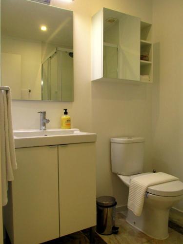 a bathroom with a toilet and a sink and a mirror at Go PT - Private challet with swimming pool and garden in Parede