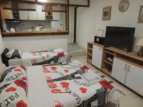サラエボにあるAPARTMAN AZRAのリビングルーム(ベッド2台、薄型テレビ付)
