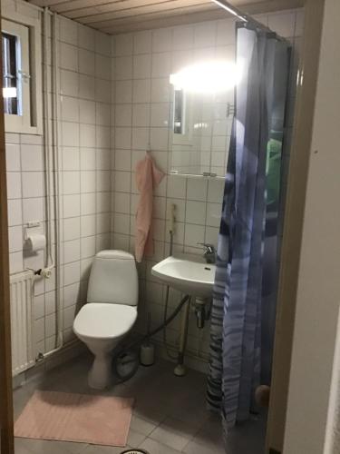a bathroom with a toilet and a sink at Martantalo in Oulu