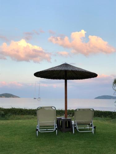 two chairs under an umbrella on the grass at Angeliki Beach Hotel in Megali Ammos