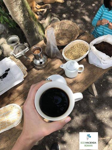 a person holding a cup of coffee on a wooden table at Eco Hacienda Roman in Machu Picchu