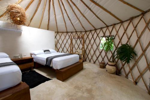 um quarto com uma cama e uma planta numa tenda em Huaya Camp em Tulum