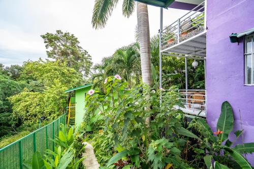 Taman di luar Peace of Paradise Free park tour & Free breakfast
