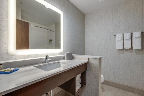 a bathroom with a sink and a mirror at Holiday Inn Express & Suites Dallas North - Addison by IHG in Addison