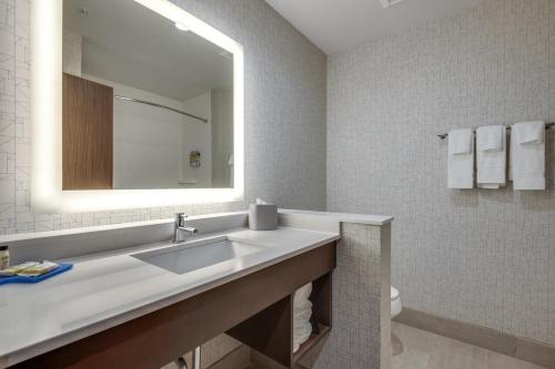 a bathroom with a sink and a mirror at Holiday Inn Express & Suites Dallas North - Addison, an IHG Hotel in Addison
