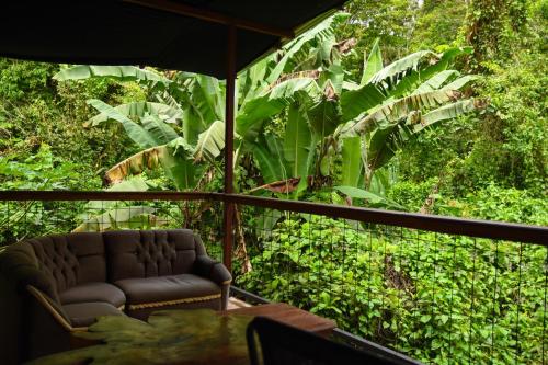 a room with a chair and a table and trees at Chilamate Rainforest Eco Retreat in Puerto Viejo
