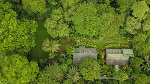 an overhead view of a house in the middle of a forest at Chilamate Rainforest Eco Retreat in Puerto Viejo