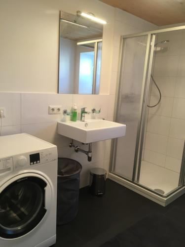 y baño con lavadora y lavamanos. en Wohnung in zentraler Lage im Rheintal, en Götzis