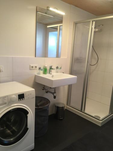 Koupelna v ubytování Wohnung in zentraler Lage im Rheintal