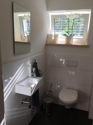 a bathroom with a toilet and a sink and a mirror at Wohnung in zentraler Lage im Rheintal in Götzis