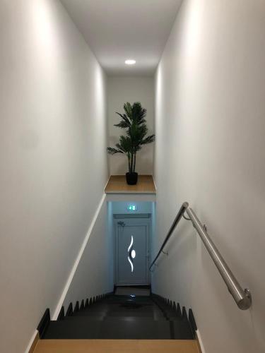 a stairway with a potted plant on top of a blue cabinet at Marqueses de Ferreira in Lamas de Ferreira
