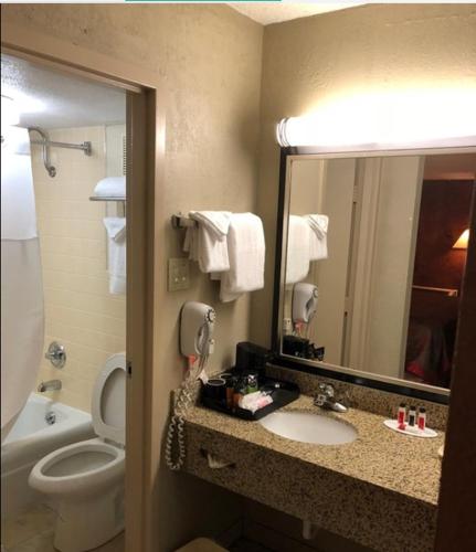 a bathroom with a sink and a toilet and a mirror at Ramada by Wyndham Michigan City in Michigan City