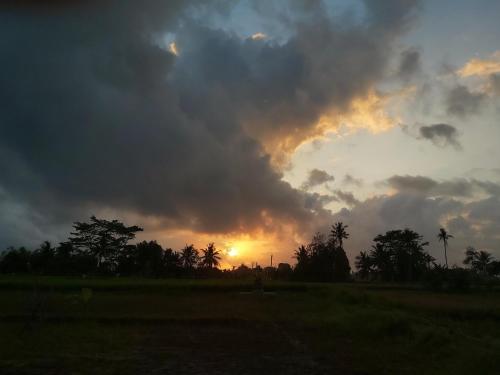 a stormy sky with the sun setting in a field at Ayuna Family Ubud in Ubud