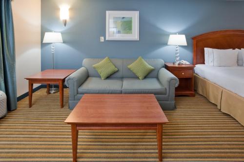 una camera d'albergo con letto e divano di Holiday Inn Express Hotel & Suites Fredericksburg, an IHG Hotel a Fredericksburg