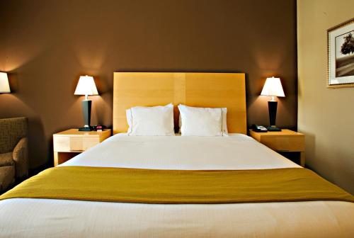 Ένα ή περισσότερα κρεβάτια σε δωμάτιο στο Holiday Inn Express Hotel and Suites Borger by IHG