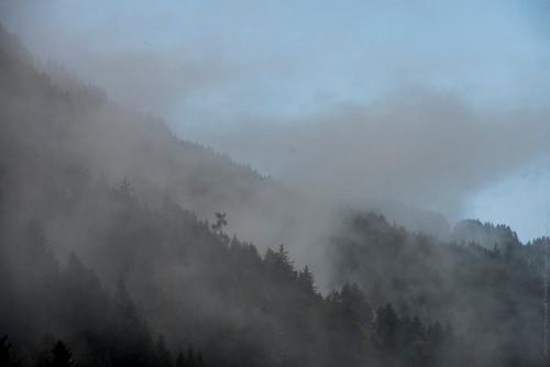 a misty hillside with trees in the foreground at Riversong Centre Thermal in Les Plans-sur-Bex