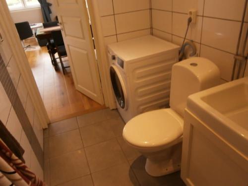 un piccolo bagno con servizi igienici e lavandino di Stuga på Hasslö a Bredavik