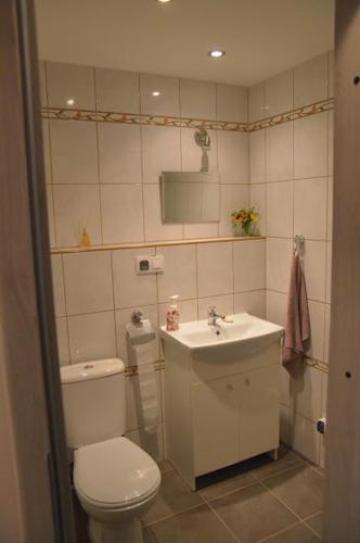 a small bathroom with a toilet and a sink at Apartament Skałka in Jaworzno